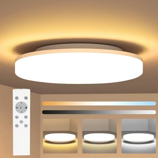 ZMH LED Panel Deckenlampe Rund Badezimmer Decke 24W Badlampe 27*4.8CM, IP54 Wasserdicht, LED fest integriert, Warmwei? Neutralwei? Kaltwei?, Dimmbar mit Fernbedienung, Schlafzimmer Flur K¨¹che Wohnzimmer