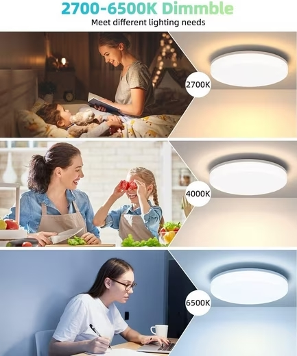 ZMH LED Panel Deckenlampe Rund Badezimmer Decke 24W Badlampe 27*4.8CM, IP54 Wasserdicht, LED fest integriert, Warmwei? Neutralwei? Kaltwei?, Dimmbar mit Fernbedienung, Schlafzimmer Flur K¨¹che Wohnzimmer